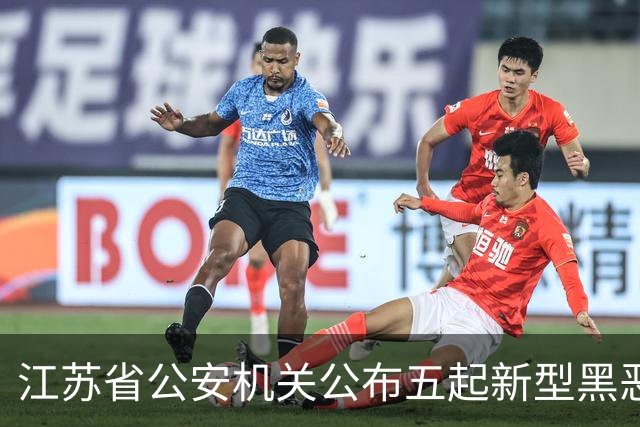 江苏省公安机关公布五起新型黑恶犯罪案例
